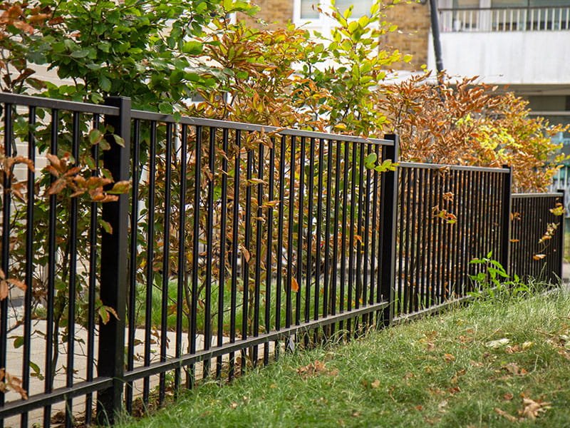 Boundary Fence Repair York